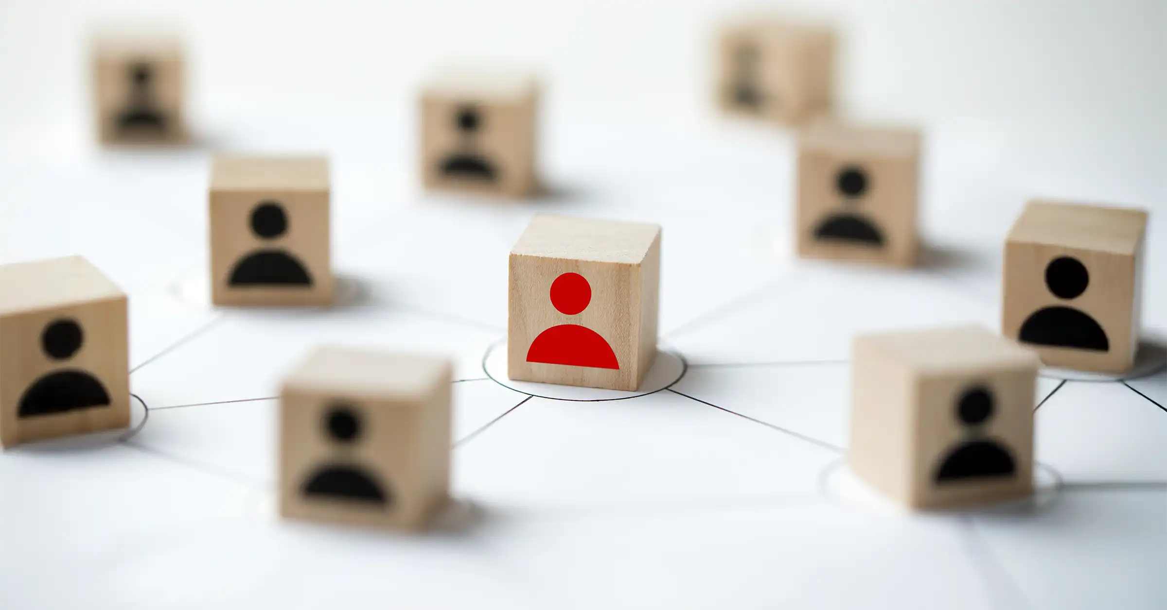 Vakıf & STK ve Dernek KARAKAR Web Tasarım ve Yazılım Ajansı